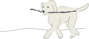 peacelovedogs walking dog