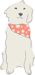 dog gray stand